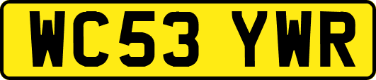 WC53YWR