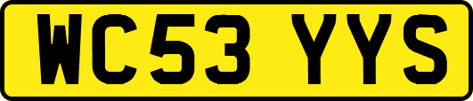 WC53YYS