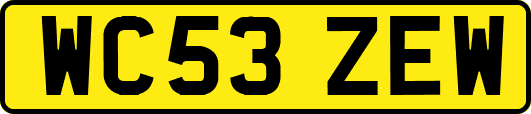 WC53ZEW