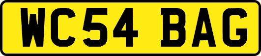 WC54BAG