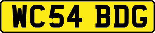 WC54BDG