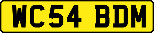 WC54BDM