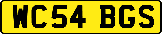 WC54BGS