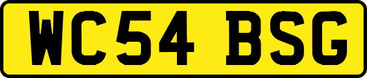 WC54BSG