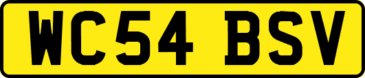 WC54BSV