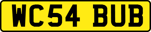 WC54BUB