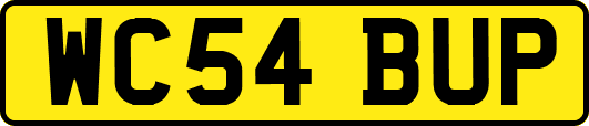 WC54BUP