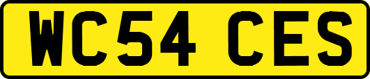 WC54CES