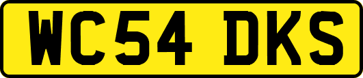 WC54DKS