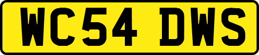 WC54DWS