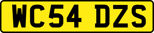 WC54DZS