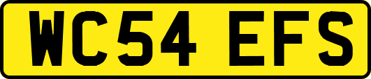 WC54EFS