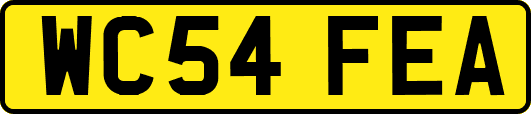 WC54FEA