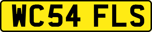 WC54FLS