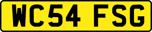 WC54FSG