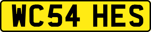 WC54HES
