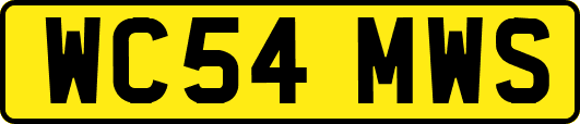 WC54MWS