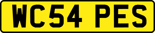 WC54PES