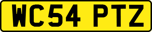 WC54PTZ