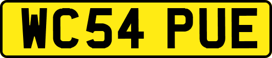 WC54PUE