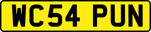 WC54PUN