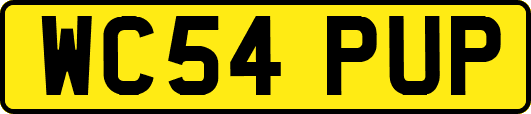 WC54PUP