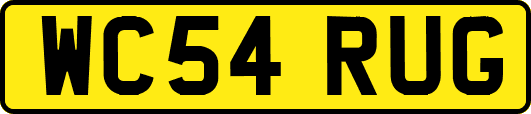 WC54RUG