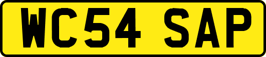 WC54SAP