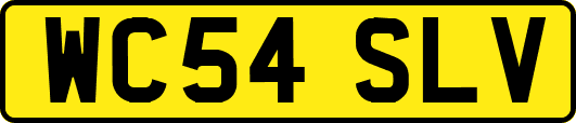 WC54SLV