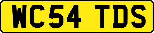 WC54TDS