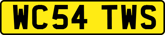 WC54TWS