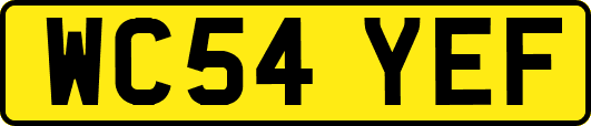WC54YEF