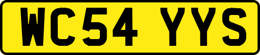 WC54YYS