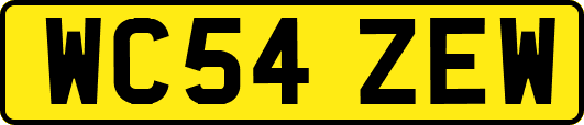 WC54ZEW