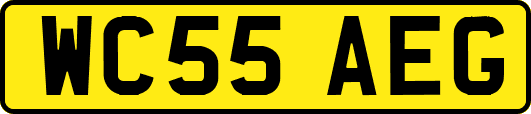 WC55AEG