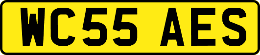 WC55AES