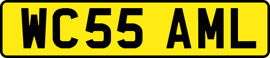 WC55AML