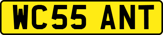WC55ANT