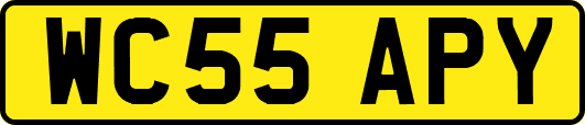 WC55APY