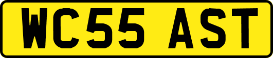 WC55AST