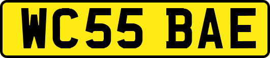 WC55BAE