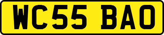 WC55BAO