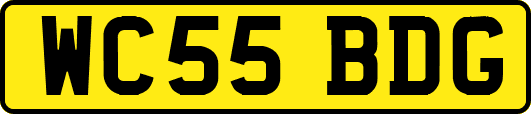 WC55BDG