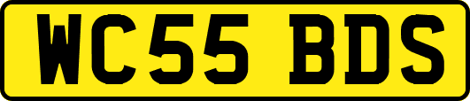 WC55BDS