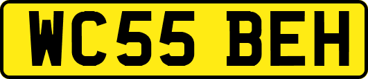 WC55BEH