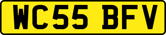 WC55BFV