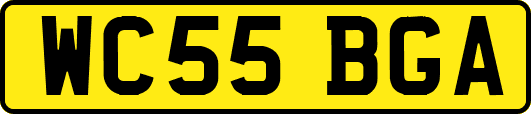 WC55BGA