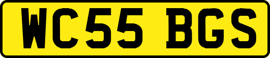 WC55BGS