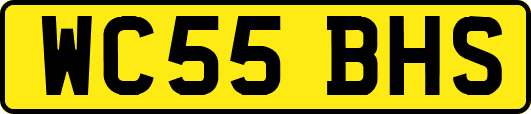 WC55BHS