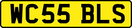 WC55BLS